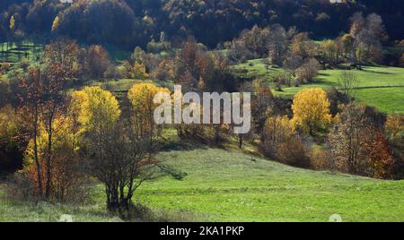 Herbstfarben in der Natur. Wunderschöne Landschaft. Wald und Wiesen am sonnigen Herbsttag. Stockfoto