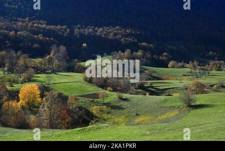 Herbstfarben in der Natur. Wunderschöne Landschaft. Wald und Wiesen am sonnigen Herbsttag. Stockfoto