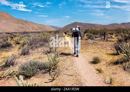 Wandern in der Wüste Anza Borrego auf dem Pacific Crest Trail, Julian, Kalifornien, USA Stockfoto