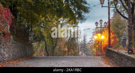 Leere Straße im Herbst. Städtischer Morgen mit Laternen. Buntes Laub auf dem Boden. Rote Efeu-Pflanze an der Wand Stockfoto