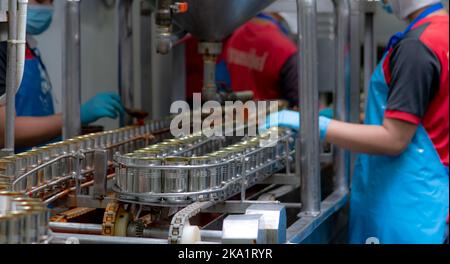 Fischkonserven Fabrik. Lebensmittelindustrie. Sardinen in roter Tomatensauce in Dosen auf dem Förderband in der Lebensmittelfabrik. Verwischen Sie Mitarbeiter, die in Lebensmitteln arbeiten Stockfoto