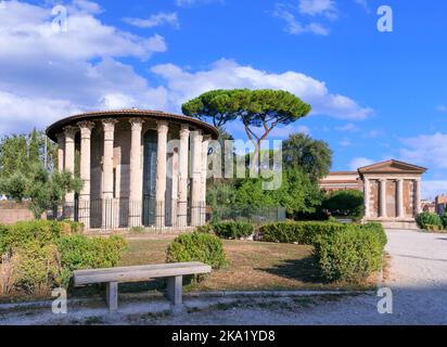 Stadtansicht von Rom: Der kreisförmige Tempel von Ercules Victor in der Nähe des kleinen rechteckigen Tempels von Portunus im Forum Boarium, Italien. Stockfoto