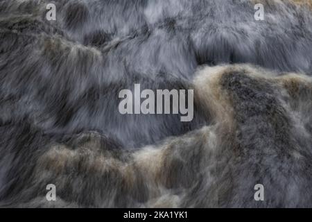 Die Stromschnellen des Flusses sehen aus wie die flauschige Tanne eines Tieres, der Fluss Gladyschewka, das Gebiet Leningrad, Russland Stockfoto