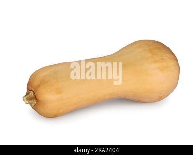 Frischer Butternusskürbis isoliert auf weißem Hintergrund, beliebter saisonaler Kürbis für köstliche Gerichte im Herbst Stockfoto