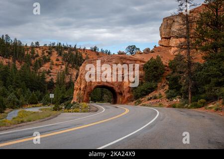 Der Dixie National Forest erstreckt sich über die Kluft zwischen dem Great Basin und dem Colorado River im Süden von Utah, in dieser Szene eine Straße durch die roten Felsen Stockfoto