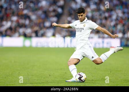 Marco Asensio von Real Madrid während des Fußballspiels der spanischen Meisterschaft La Liga zwischen Real Madrid und dem FC Girona am 30. Oktober 2022 im Santiago Bernabeu-Stadion in Madrid, Spanien - Foto: Oscar J Barroso/DPPI/LiveMedia Stockfoto