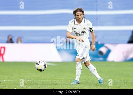 Luka Modric von Real Madrid während des Fußballspiels der spanischen Meisterschaft La Liga zwischen Real Madrid und dem FC Girona am 30. Oktober 2022 im Santiago Bernabeu-Stadion in Madrid, Spanien - Foto: Oscar J Barroso/DPPI/LiveMedia Stockfoto