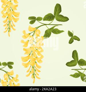 Nahtlose Textur Laburnum Zweig dekorativ Strauch Natur Hintergrund Vektor Illustration editierbar Hand zeichnen Stock Vektor
