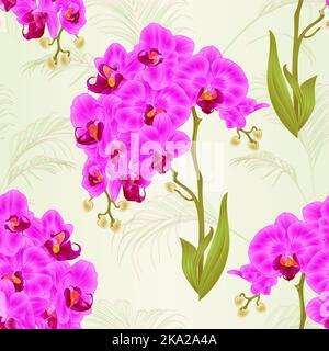 Nahtlose Textur Zweige Orchidee Phalaenopsis lila Blüten und Blätter tropische Pflanzen Stamm und Natur Hintergrund vintage Vektor botanische illustraa Stock Vektor
