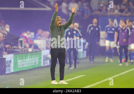 Schalke, Deutschland. 30. Okt, 2022. firo : 30.10.2022, Fußball, Fußball, 1. Liga, erste 1. Bundesliga, Saison 2022/2023, FC Schalke - SC Freiburg 0:2 . Gesti, Thomas Reis, Coach Schalke Credit: dpa/Alamy Live News Stockfoto