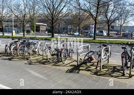 Fahrradstraßen und Velorouten, sowie Abstellmöglichkeiten vorstellen das Stadtbild Kiels als Fahradstadt Stockfoto