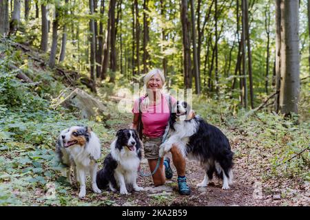 Ältere Frau, die mit ihren drei Hunden im Wald läuft. Stockfoto
