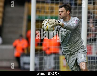 2.. Februar 2013 - npower Championship Football - Wolverhampton Wanderers vs. Cardiff City - David Marshall von Cardiff City - Foto: Paul Roberts/Pathos. Stockfoto