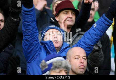 2.. Februar 2013 - npower Championship Football - Wolverhampton Wanderers vs. Cardiff City - Ein Fan von Cardiff City beim Schlusspfiff - Foto: Paul Roberts/Pathos. Stockfoto