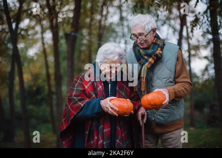 Seniorenpaar mit Kürbissen im Herbstwald. Stockfoto