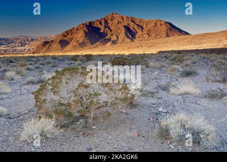 Sheephead Mountain von Salsberry Spring Area in der Nähe von Salsberry Pass, Mojave Desert, Death Valley National Park, Kalifornien, USA Stockfoto