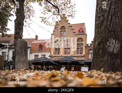 Brügge, Belgien 23.10.2022 : wunderschöne herbstliche Straßenszene mit Touristen und Einkäufern, die an sonnigen Tagen Touristenattraktionen besuchen, hinterlässt auf dem Boden. Stockfoto