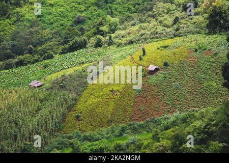 Eine Luftaufnahme einer Bergfarm mit Häusern in Nord-Laos, Südostasien Stockfoto