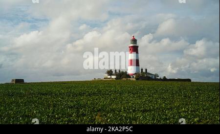 Der Blick auf den Leuchtturm von Happisburgh vor dem Hintergrund des bewölkten Himmels. Norfolk, England. Stockfoto