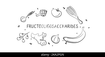 Fructooligosaccharides-containing food. Groups of healthy products containing vitamins and minerals. Set of fruits, vegetables, meats, fish and dairy Stock Vektor