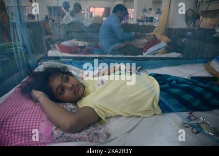 Dhaka, Bangladesch. 31. Oktober 2022. Dengue-Patienten mit Kindern in Bangladesch, die mit einem Moskitonetz bedeckt sind, leiden am 31. Oktober 2022 an Dengue-Fieber, als sie in der Aufnahmeabteilung des Dhaka Child Hospital in Dhaka, Bangladesch, behandelt werden. Fast 38024 Menschen wurden bis heute seit Januar hospitalisiert und 141 Todesfälle verzeichnet, und in den letzten 24 Stunden wurden 873 Patienten in Krankenhäuser eingeliefert, so das Büro des Gesundheitsministeriums. Kredit: Mamunur Rashid/Alamy Live Nachrichten Stockfoto