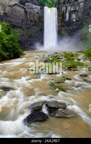 Taughannock Falls wütet nach einer schweren Sommerraifall in der Vorwoche, Taughannock State Park, Tompkins County, New York Stockfoto