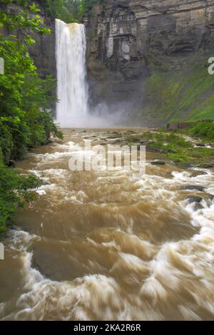 Bei starken Sommerregenfällen stürzte Taughannock im Juli mit viel, viel mehr Wasser als üblich. Taughannock Fall State Park, Tomkins County, NY Stockfoto