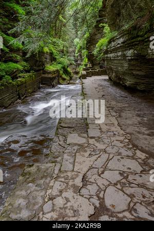 Enfield Creek fließt durch Enfield Glen, eine Schlucht, die sich durch den Robert Treeman State Park im Tompkins County, New York, zieht Stockfoto