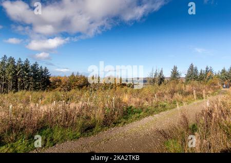 Beacon fiel in Lancashire, Großbritannien Stockfoto