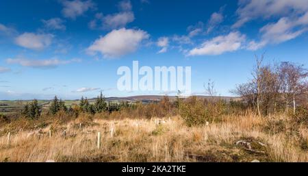 Beacon fiel in Lancashire, Großbritannien Stockfoto