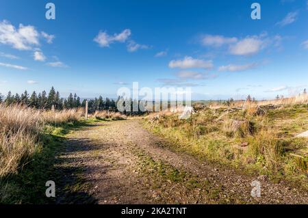 Beacon fiel in Lancashire, Großbritannien Stockfoto