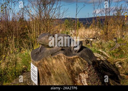 Beacon fiel in Lancashire, Großbritannien Stockfoto