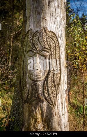 Beacon fiel in Lancashire, Großbritannien Stockfoto