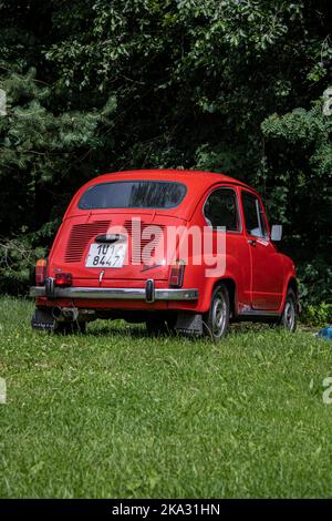 Die vertikale Ansicht eines roten Fiat 600 von hinten, geparkt auf dem Gras Stockfoto