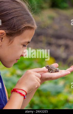 Mädchen hält eine Kröte in der Handfläche. Selektiver Fokus. Natur Stockfoto