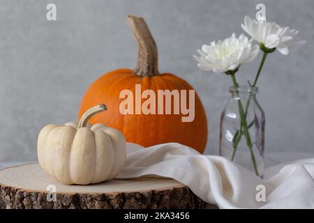 2 Kürbisse auf einem Holzblock, Milchflasche mit 2 weißen Chrysanthemen und cremefarbene Leinenserviette vor hellem Hintergrund. Platz für Kopie Stockfoto