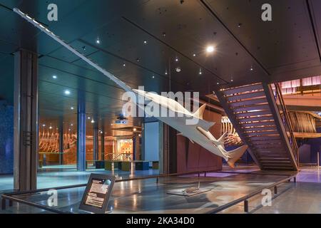 Frankreich, Paris, Museum National d'Histoire Naturelle - Jardin des Plantes - Le Grande Galerie de L'Evolution National Museum of Natural History, Jardi Stockfoto