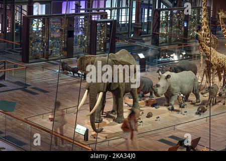 Frankreich, Paris, Museum National d'Histoire Naturelle - Jardin des Plantes - Le Grande Galerie de L'Evolution National Museum of Natural History, Jardi Stockfoto