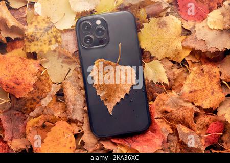 Ein neues iPhone-Telefon 13 oder 14 mit orangefarbenem Laub. Herbst Verkauf von Handys und Gadgets cocept. Stockfoto