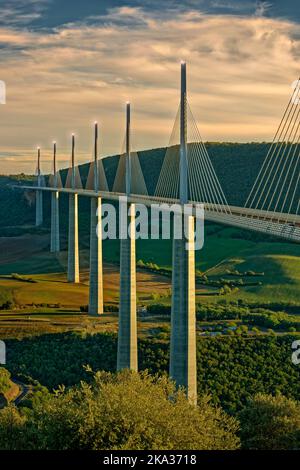 Das Viadukt von Millau führt über die Bundesstraße A75, bekannt als „La Meridienne“, das Tal des Flusses Tarn in Aveyron, Midi-Pyrenees, Frankreich Stockfoto