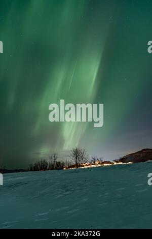 Eine vertikale Aufnahme von leuchtend grünen Nordlichtern über einem Hügel in Trondheim, Norwegen Stockfoto