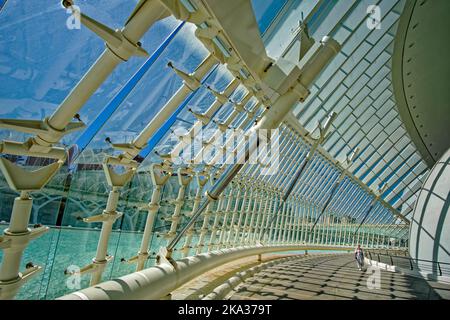Innenansicht des hemisferischen Gebäudes in der Stadt Valencia, Provinz Valencia, Spanien, mit der hydraulischen Lüftungsanlage. Stockfoto