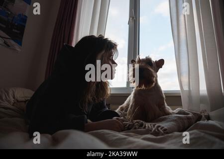 Ein Mädchen und ein lustiger Hund vor dem Fenster. Stockfoto
