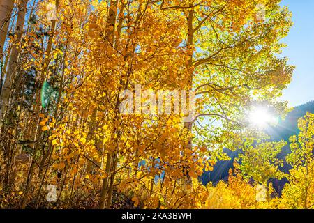 Sonnenaufgang in Aspen, Colorado Maroon Bells Mountains im Oktober mit goldgelber Blattfarbe lebendige Bäume Laub Herbst in der Herbstsaison mit Sonnenflamme Stockfoto