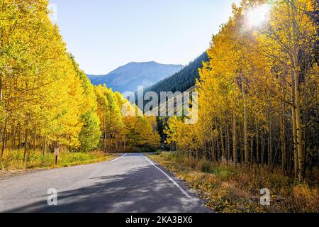 Sunburst Flare Strahlen durch den Wald in Aspen, Colorado kastanienbraunen Glocken Berge Straße im Oktober Herbstsaison mit lebendigen Bäumen und goldgelben Herbst f Stockfoto