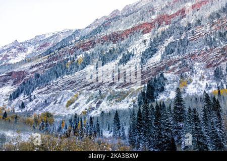 Kastanienbraune Glocken rote Berge in Aspen, Colorado, bedeckt mit Schnee, nachdem der Wintersturm im Oktober eingefroren hatte Spätherbst fiel im Wechsel der Jahreszeiten in dunklem Morgen Stockfoto