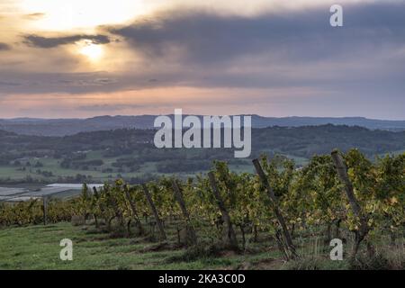 La Chartroulle - Vignoble des coteaux de la Vézère en automne Stockfoto