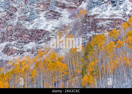 Nahaufnahme von Maroon Bells Sunrise, Aspen, Colorado Elch Range Rocky Mountains im Spätherbst mit Espen bunten Herbstbäumen Wald im Winterschnee Stockfoto