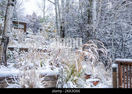 Aspen Colorado Steps Landschaftsgestaltung im Winter Schnee terrassenförmig entlang Holztreppen Architektur im Garten Hinterhof des Hauses oder zu Hause bedeckt Stockfoto