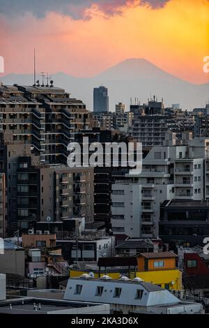 Shinjuku von Tokio, Japan Skyline mit Blick auf den Fuji-Berg und Sonnenlicht mit Wohngebäuden Stockfoto